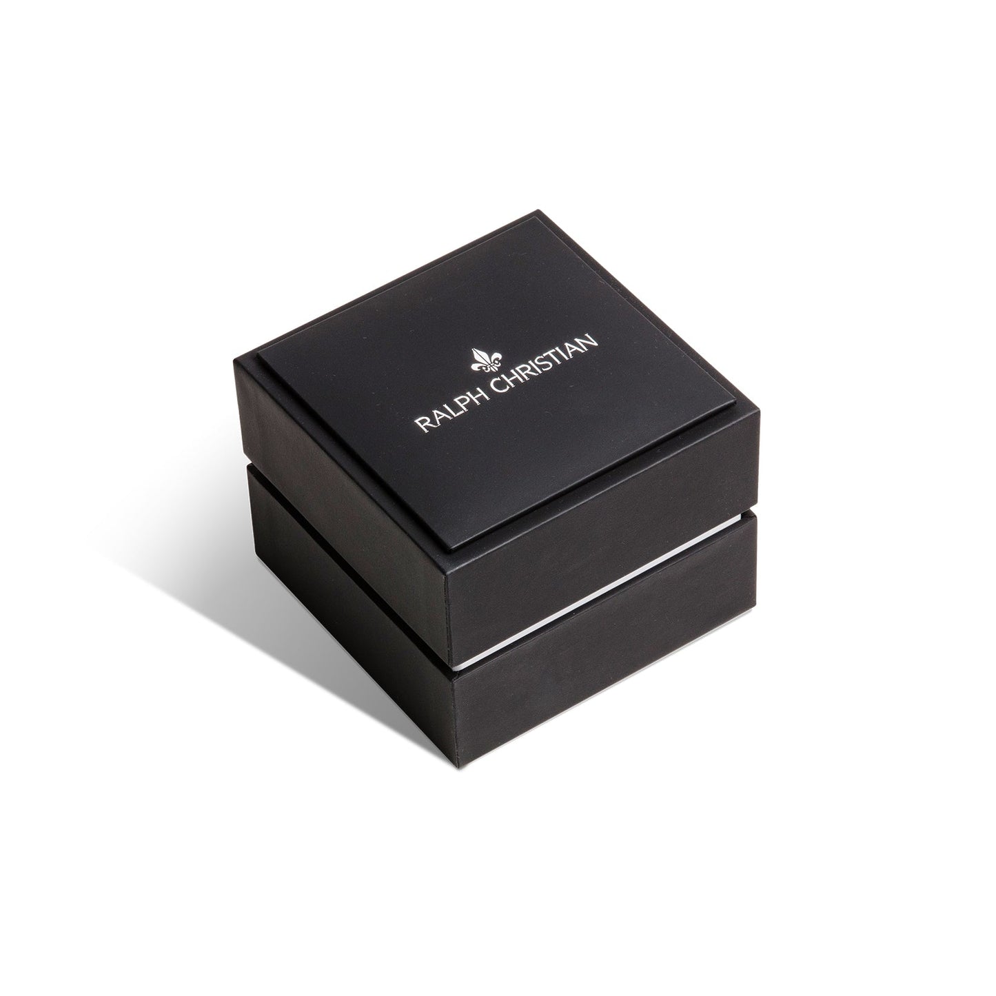 The Avalon Automatic Watch + Mesh Strap